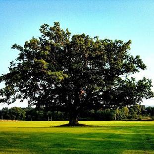 Profile Picture of Sean Hamill (@HamLit9) on Twitter