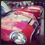 Profile Picture of James Reichman (@frogteeniesparkling) on Instagram