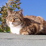 Profile Picture of Paul Burns (@paulburns70) on Flickr