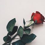 Profile Picture of Alvina Fajardo (@iam_jamesmith) on Instagram