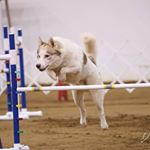 Profile Picture of Curtis Hunter (@celestialtrails) on Instagram