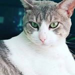 Profile Picture of David Manuel Torres Bracamonte (@dat0bra) on Instagram