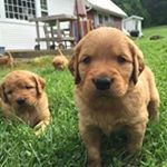 Profile Picture of Sarah Nussbaum (@nussbaum.sarah) on Instagram