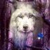 Profile Picture of Tama Wolf (@Tama-Wolf) on Facebook