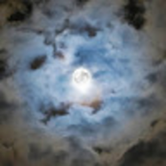 Profile Picture of Amber Dinges (@aldinges96) on Poshmark