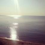 Profile Picture of Christopher Pesce (@mstopicwater) on Instagram