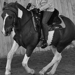 Profile Picture of Sandra Thierauf (@horse_hill_ponymotion) on Instagram