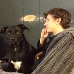 Tyler Lapp - Instagram Profile Picture of Tyler Lapp (@tyjlapp) on Instagram