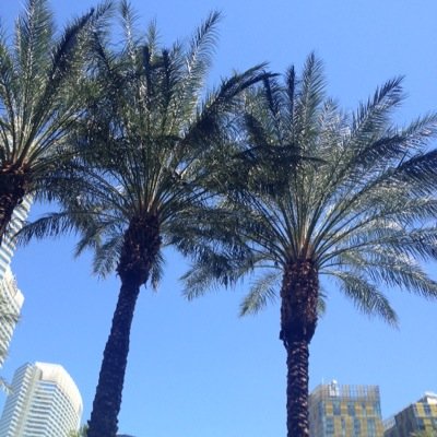 Profile Picture of Paula Grigg (@paulagrigg) on Twitter