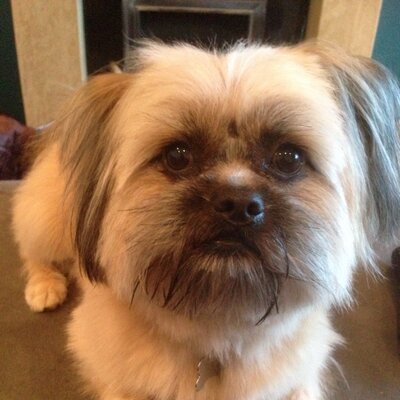 Profile Picture of Jackie Bradley (@JaxBrad001) on Twitter