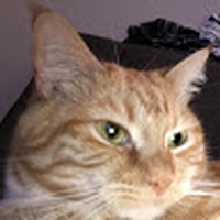 Profile Picture of Preston Vaughn (@preston-vaughn-15) on Quora