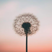 Profile Picture of Isabel Camarillo (@isabelcamarillo4713) on Youtube