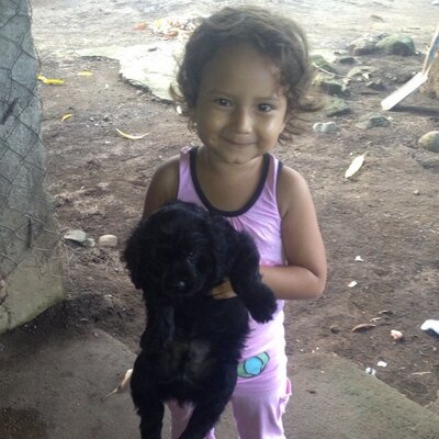 Profile Picture of Rosa Lilian Mata (@liliancoam) on Twitter