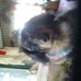 Profile Picture of Larry McMaster (@larry.mcmaster.3) on Facebook