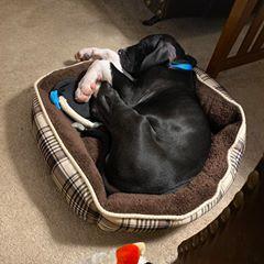 Profile Picture of Sally Lynch Mock (@@sallylynchmock) on Tiktok