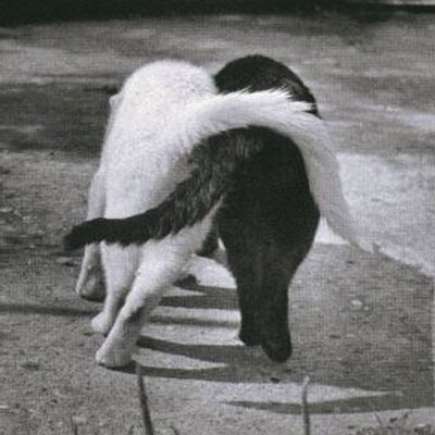 Profile Picture of Carla Kathrein Hötte (@carlakathreinht) on Twitter