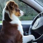 Profile Picture of Michael Lefebvre (@michaellefebvre85) on Instagram