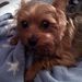 Profile Picture of Diane Chowanes (@diach) on Pinterest