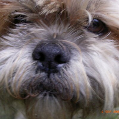 Profile Picture of Karl-Peter Neumann (@NeumannKPeter) on Twitter
