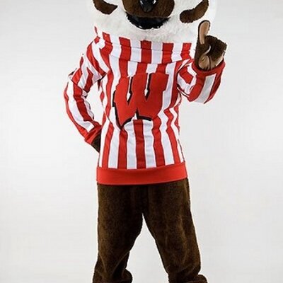 Profile Picture of Dennis Whitehead (@Badgerden1) on Twitter
