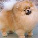 Profile Picture of Joyce Fielder (@joyce.fielder.79) on Facebook