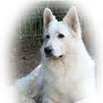 Profile Picture of Ernst Schneider (@ernst_schneider) on Instagram