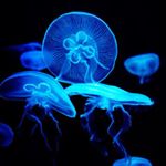 Profile Picture of Seth Boudreau (@sethjb_2004) on Instagram