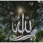 Profile Picture of Adam Aggour (@Adam-Aggour) on Facebook