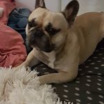 Profile Picture of brendon mathieu (@mathieu.brendon) on Instagram