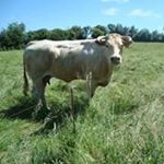 Brian Watkinson - Instagram Profile Picture of Brian Watkinson (@watkinsonbrian) on Instagram