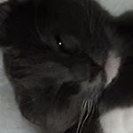 Profile Picture of Harmony amelia-Rose Teunon (@harmonyameliarose) on Instagram