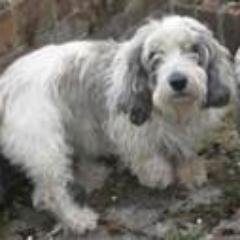 Profile Picture of Arthur Pender (@Arponger) on Twitter