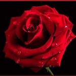 Profile Picture of Yimi Kimza (@yimikimza) on Instagram