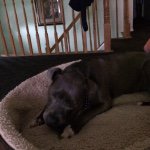 Profile Picture of Aaliyah Lucas (@babyaaily12) on Instagram