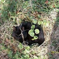 Profile Picture of Adrienne Wright (@adrienne-wright-12) on Quora