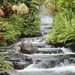 Profile Picture of Sheila Belveal (@sheilatb) on Pinterest