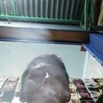 Profile Picture of New Adm-rudy Scoatident (@rudycyeanakhicks) on Instagram