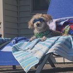 Profile Picture of Paul Koester (@koester.paul) on Instagram