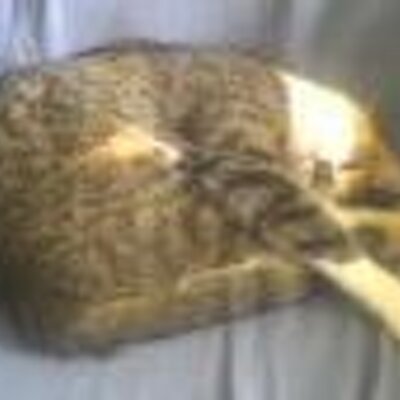 Profile Picture of Audrey T Benjamin (@VeroBeachAudrey) on Twitter