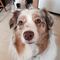 Profile Picture of Leonard Long (@leonard.long.1428) on Facebook