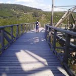 Profile Picture of Daniel Janicki (@danieljanicki1) on Instagram