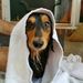 Profile Picture of Jason Starbird (@jasons0054) on Pinterest