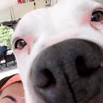 Profile Picture of Jersey Benjamin (@jerseybenjamin) on Instagram