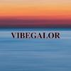 Profile Picture of Sean Mullin (@@vibegalor) on Tiktok