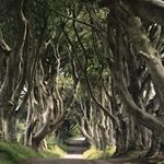 Profile Picture of Christopher J. Woolley (@woolley_christopher) on Instagram