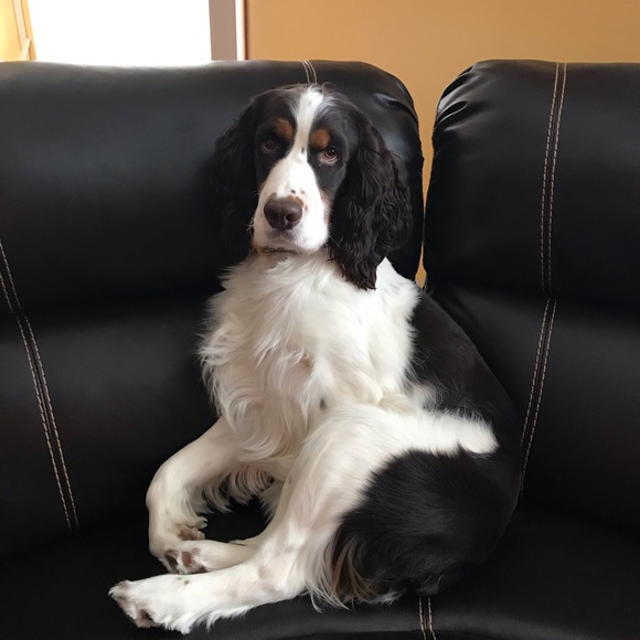 Profile Picture of Chris Ofarrell (@06redmax) on Poshmark