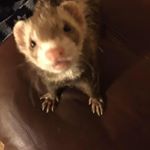 Profile Picture of Jay Simons (@jaystroud62) on Instagram