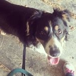 Lacey  Crusenberry - Instagram Profile Picture of Lacey  Crusenberry (@laceyjonae) on Instagram