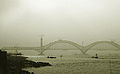 Profile Picture of Dashengguan Yangtze River Bridgeon Wikipedia