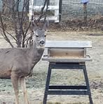 Profile Picture of Lisa Plemel (@lisa.plemel.2025) on Facebook